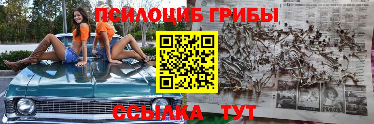 Галлюциногенные грибы прущие грибы Чернушка